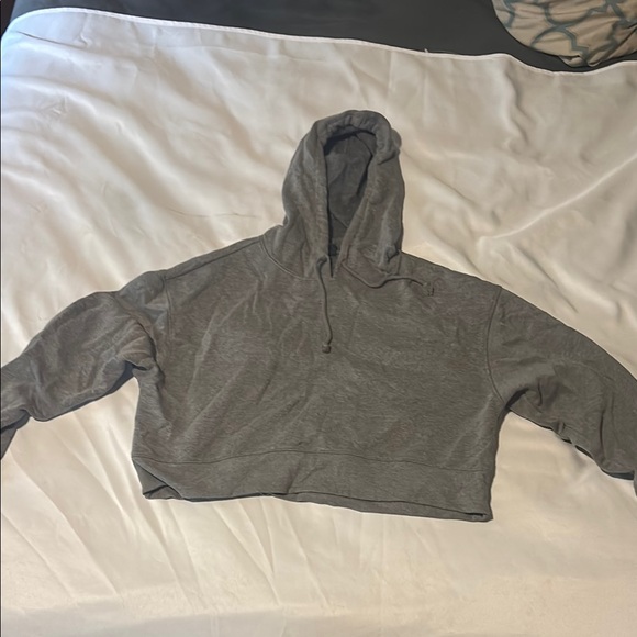 Wild Fable Gray Cropped Hoodie - Picture 1 of 2